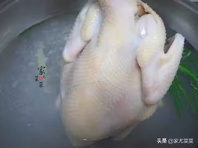 /www/bananadaily.net/web/images/image/2028/20289307.avif