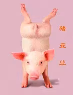 /www/bananadaily.net/web/images/image/2028/20289379.avif
