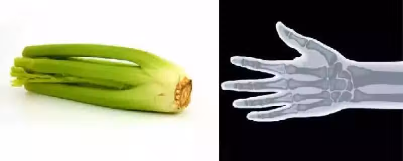 /www/bananadaily.net/web/images/image/2029/20294665.avif