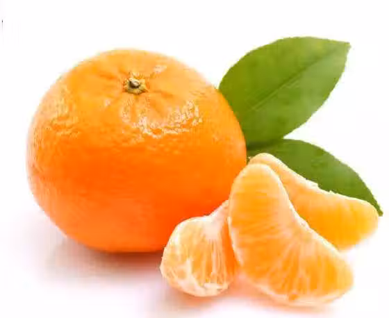 /www/bananadaily.net/web/images/image/2029/20294670.avif