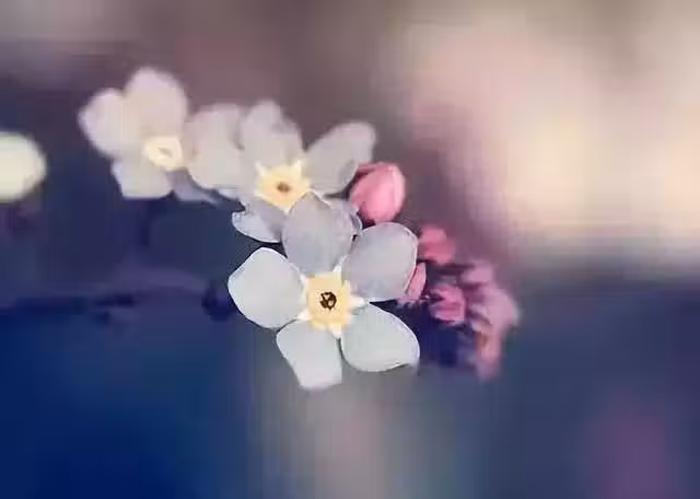 /www/bananadaily.net/web/images/image/2029/20295651.avif