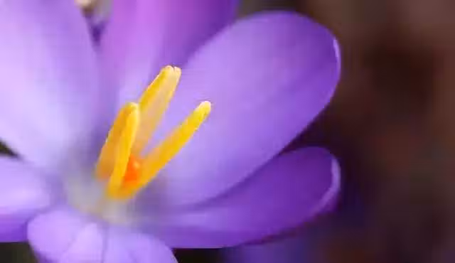/www/bananadaily.net/web/images/image/2029/20295653.avif