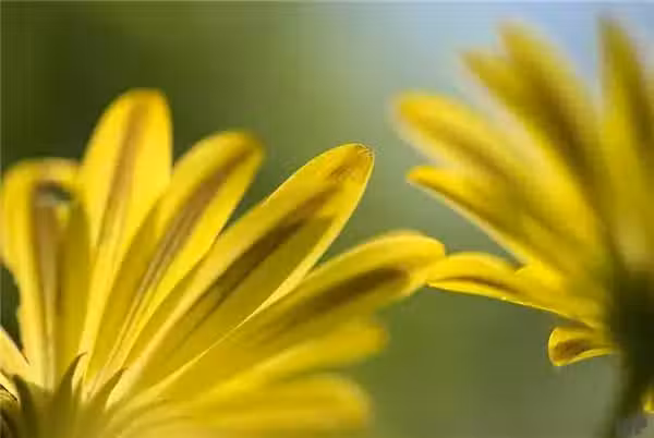 /www/bananadaily.net/web/images/image/2029/20298163.avif