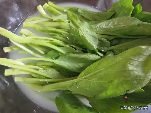 /www/bananadaily.net/web/images/image/2030/20302651.avif